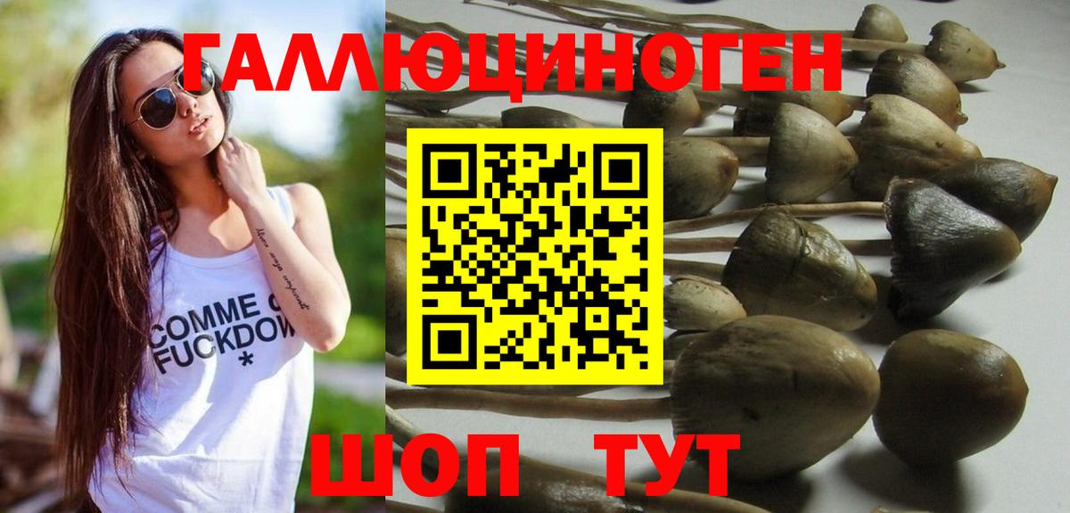 Топки  Псилоцибиновые грибы Magic Shrooms  наркошоп  Вход с VPN  Псилоцибиновые грибы GOLDEN TEACHER 