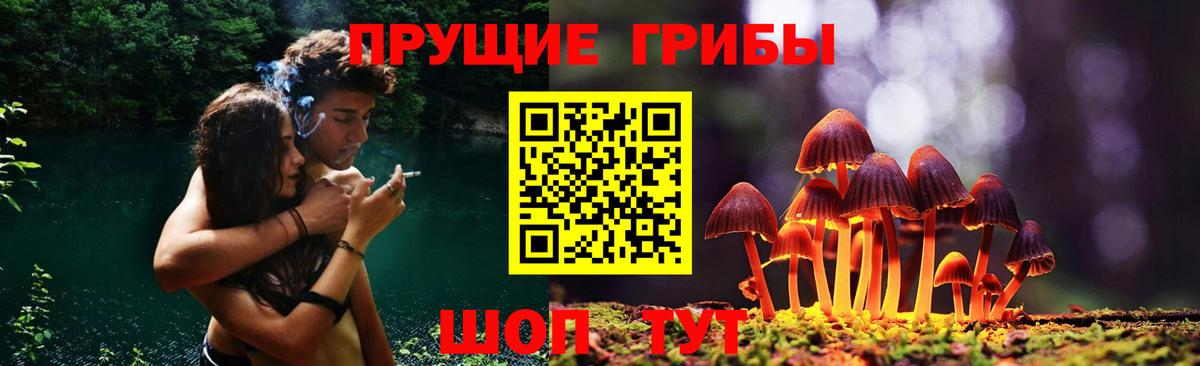 Псилоцибиновые грибы Cubensis Топки